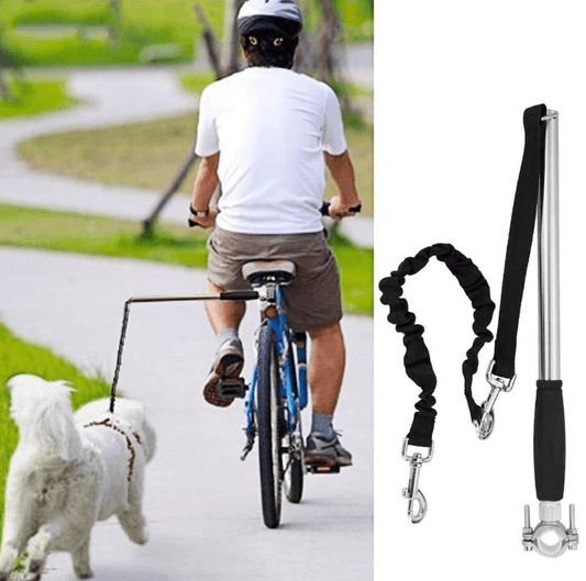 Ultimate Hands-Free Dog Walking Solution-0