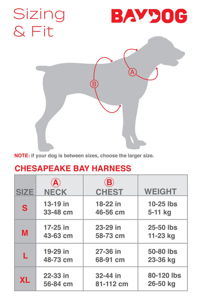 Chesapeake Harness - BAYDOG