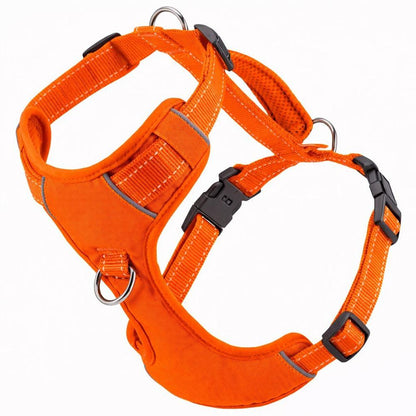 Chesapeake Harness - BAYDOG