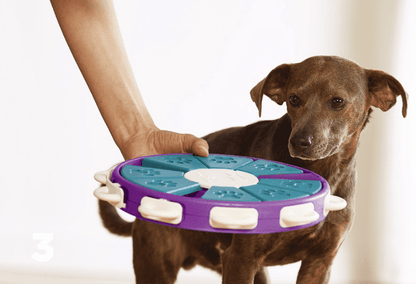 Engaging Dog Learning Toys-4
