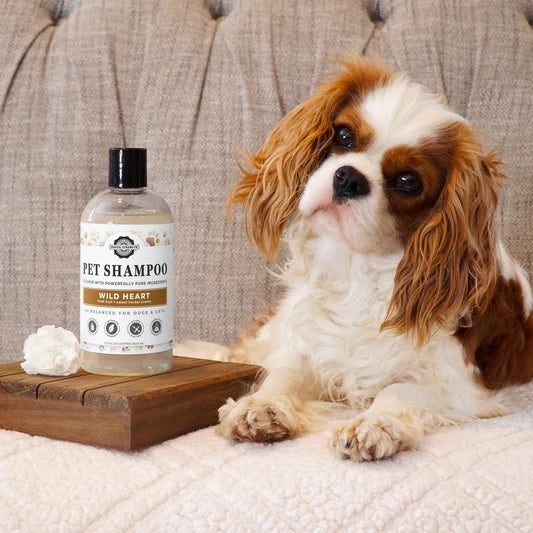 Pet Shampoo - RS
