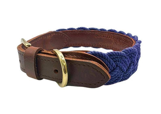 SEASIDE COLLAR - BAYDOG
