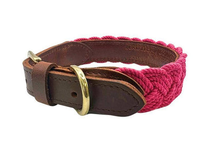 SEASIDE COLLAR - BAYDOG