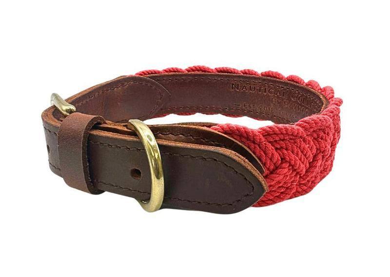 SEASIDE COLLAR - BAYDOG