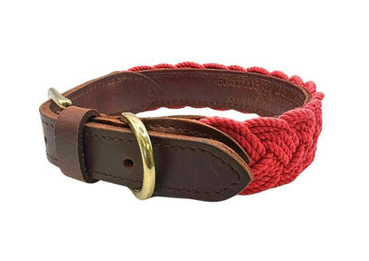 SEASIDE COLLAR - BAYDOG