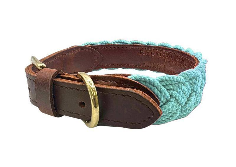 SEASIDE COLLAR - BAYDOG