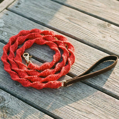 Seaside Leash - BAYDOG