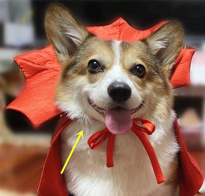 Vampire King Pet Halloween Cape-3