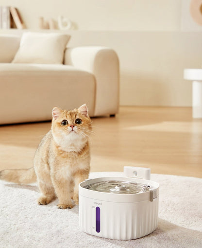 Wireless Smart Sensor Pet Water Fountain with Ceramic Plate-2