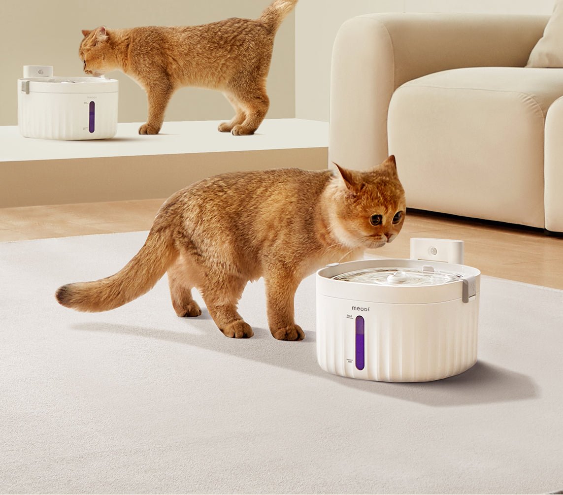 Wireless Smart Sensor Pet Water Fountain with Ceramic Plate-4
